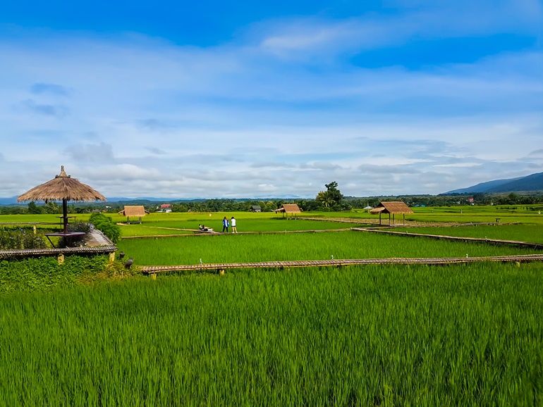 ที่ดิน ทำเลทอง เเถบนครนายก ว่าที่กรุงเทพ2 ติดถนนใหญ่ ราคาขึ้นเเน่นอนในอนาคต